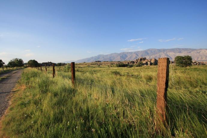 Field Photo